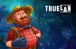 Casino_tpInfo