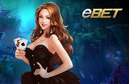 Casino_tpInfo